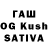 Псилоцибиновые грибы Cubensis SABYAS gm