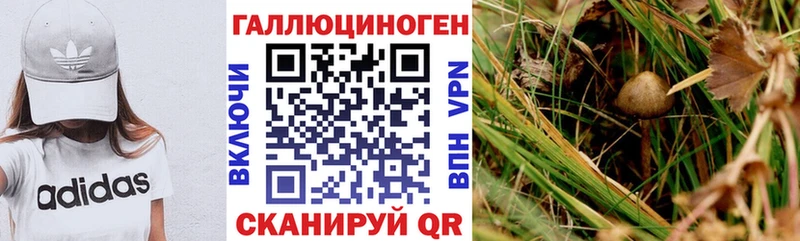 Галлюциногенные грибы GOLDEN TEACHER  где купить наркоту  Сольцы 